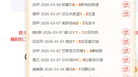 2025-03-18 勒沃库森三球逆袭战胜斯图加特，精彩赛事回放